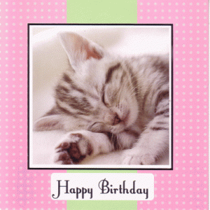 Cat Birthday Cards
